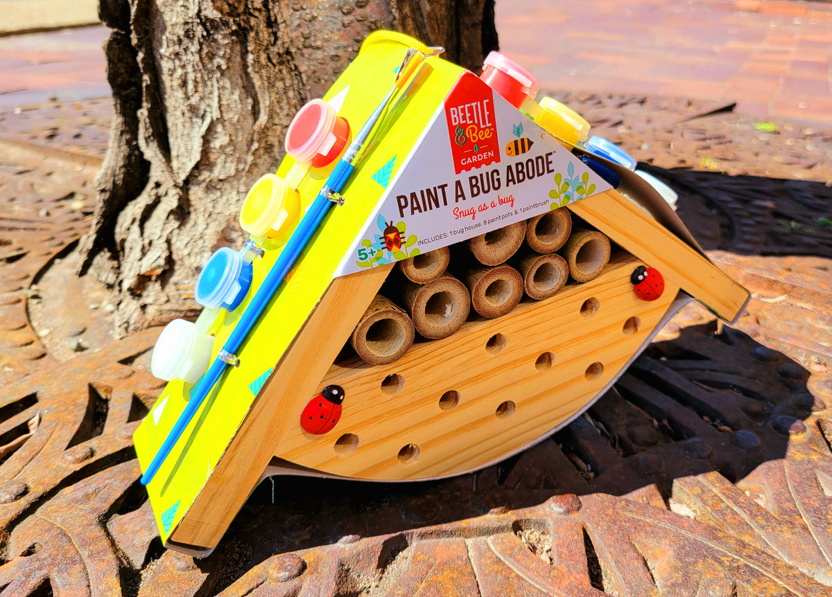 Paint A Bug Abode