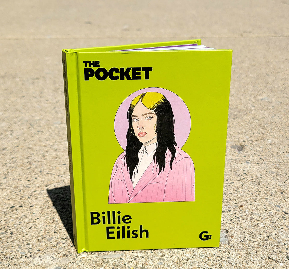 Pocket Guide To Billie Eilish