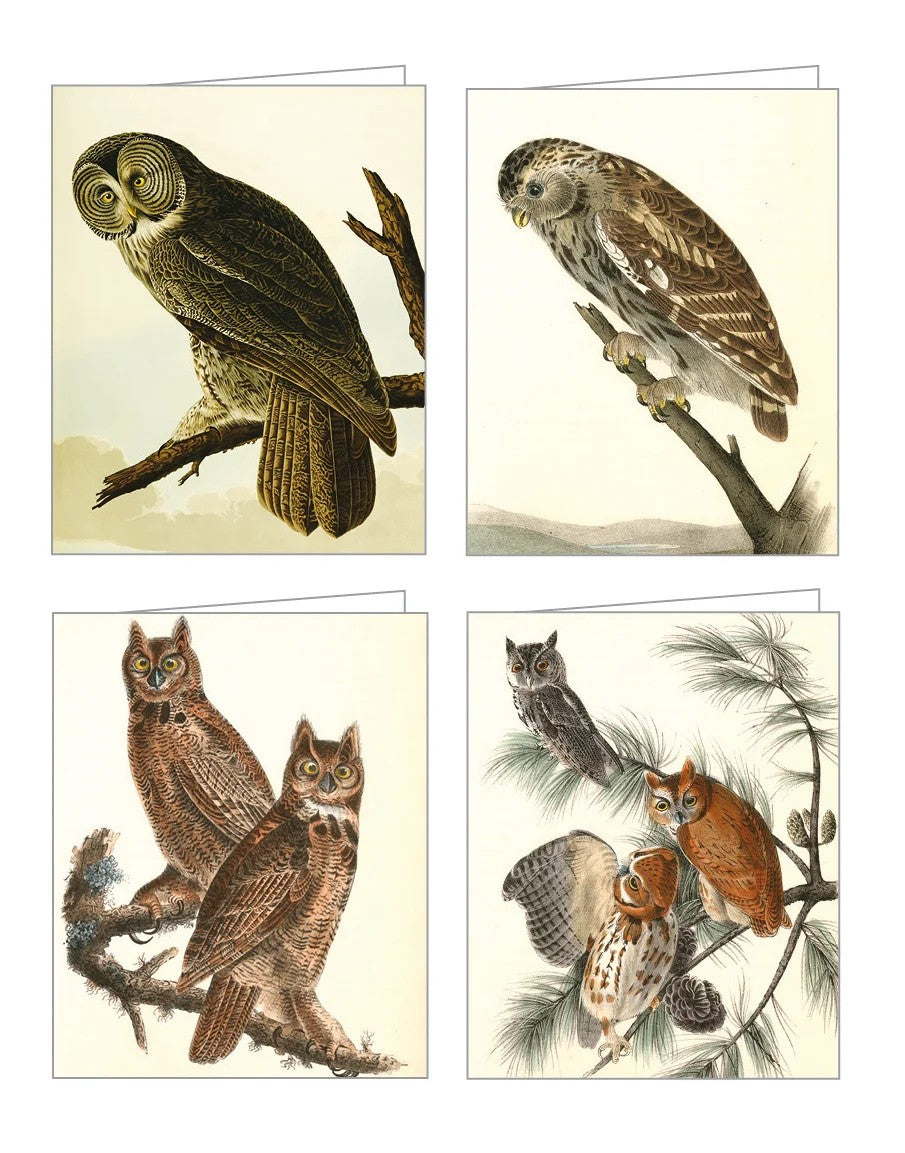 Audubon Owls Notecard Set