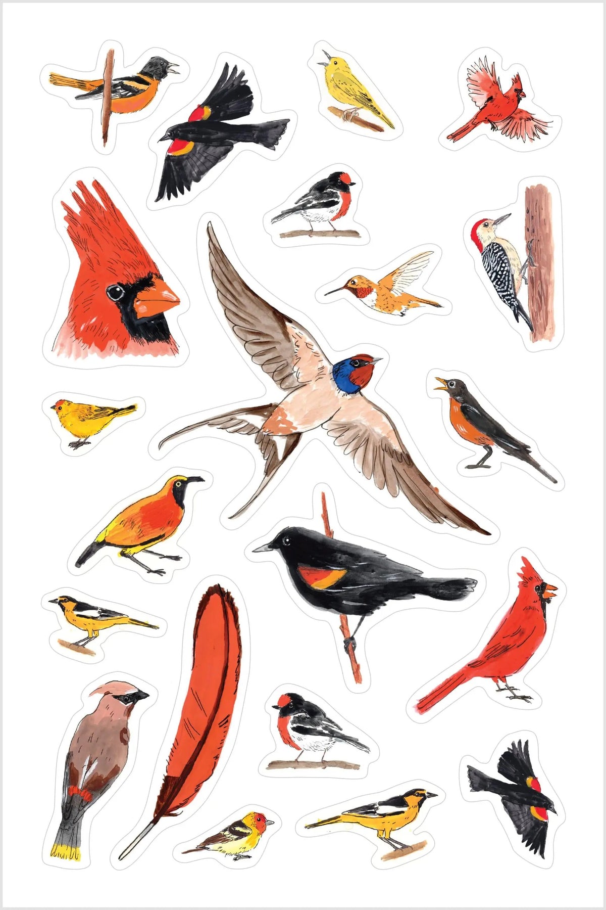 Bird Anatomy Sticker Book