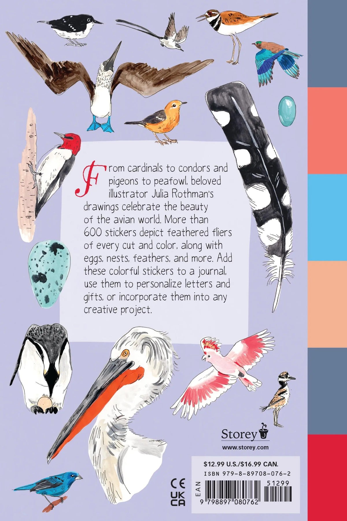 Bird Anatomy Sticker Book