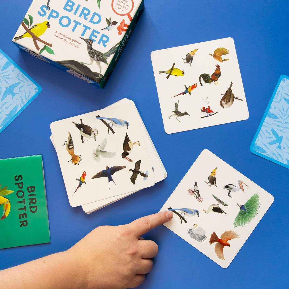 Bird Spotter Game