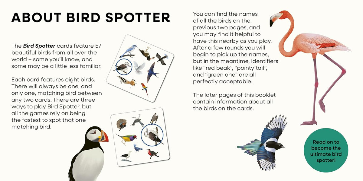 Bird Spotter Game