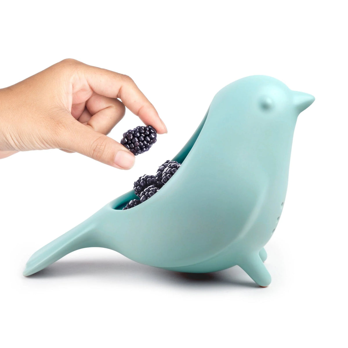 Blue Bird Colander