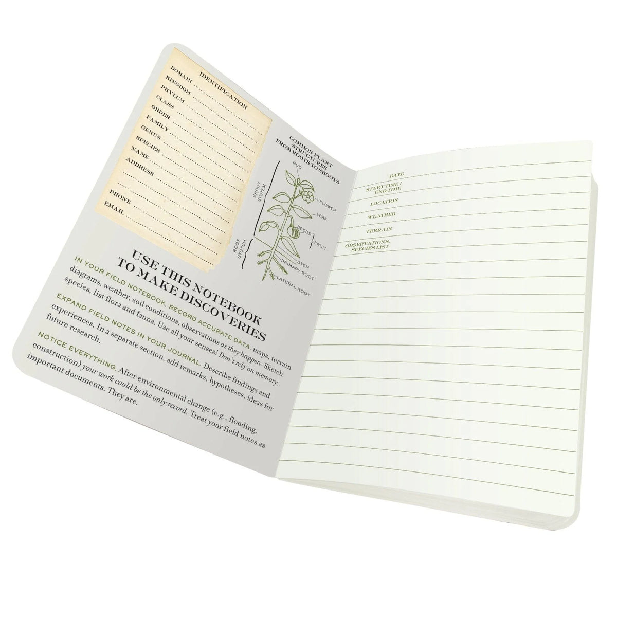 Botany Pocket Notebook