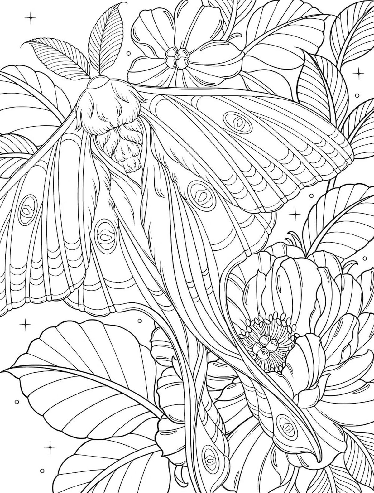 Bugs & Blooms A Botanical Coloring Book