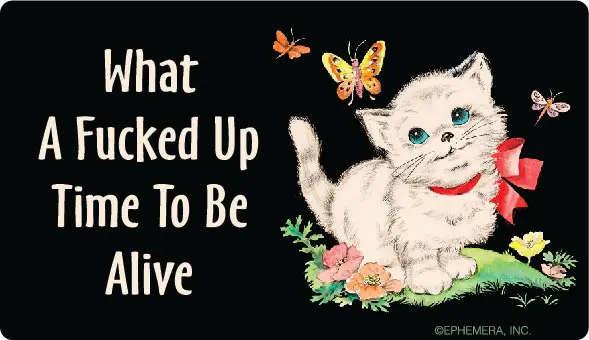 What A Fucked Up Time Bumper Sticker Cat