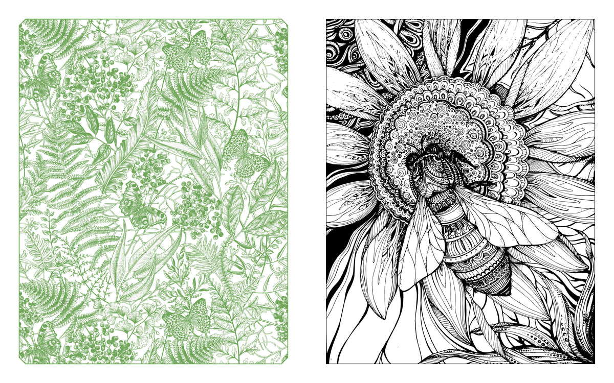 Butterflies, Bees & Dragonflies Coloring Book