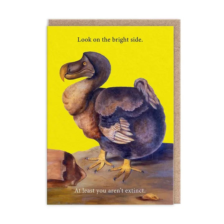Card Bright Side Dodo