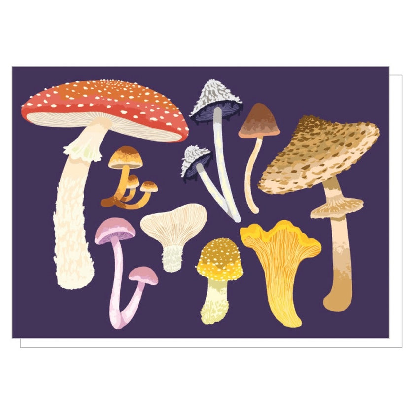Card Mushroom Variety
