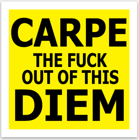 Carpe The Fuck Vinyl Sticker