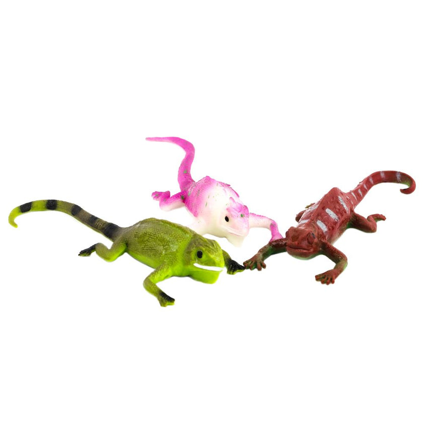 Color Change Lizard