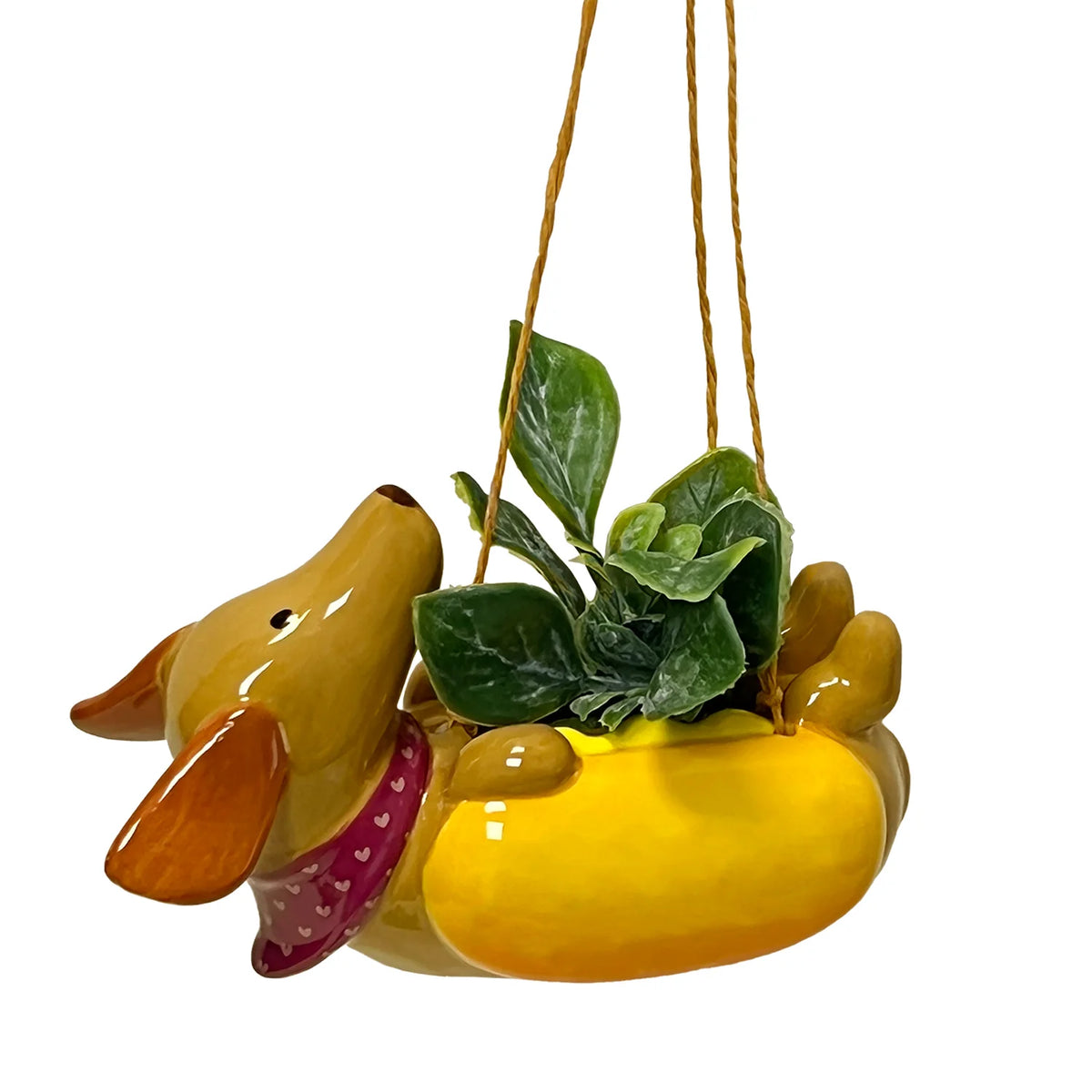 Dachshund Hot Dog Hanging Planter Assorted
