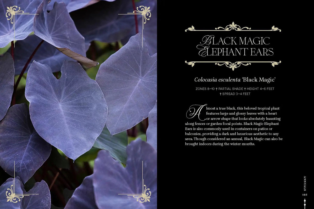 Darkness In Bloom A Gothic Guide To Plants Book