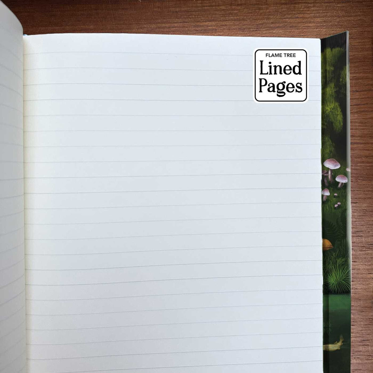 Deep In The Forest Foiled Hard Cover Journal Anna Stead