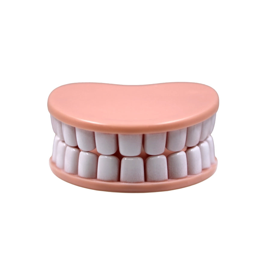 Denture Grip Bag Clips