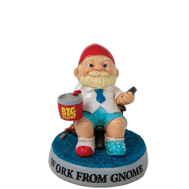 Desktop Male Work From Gnome