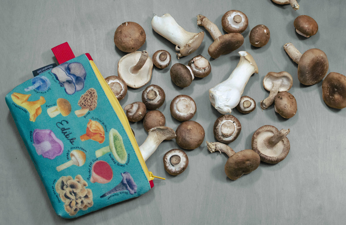 Edible And Poisonous Mushroom Zipper Pouch
