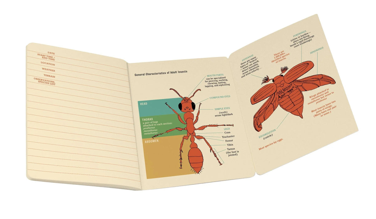 Entomology Pocket Notebook