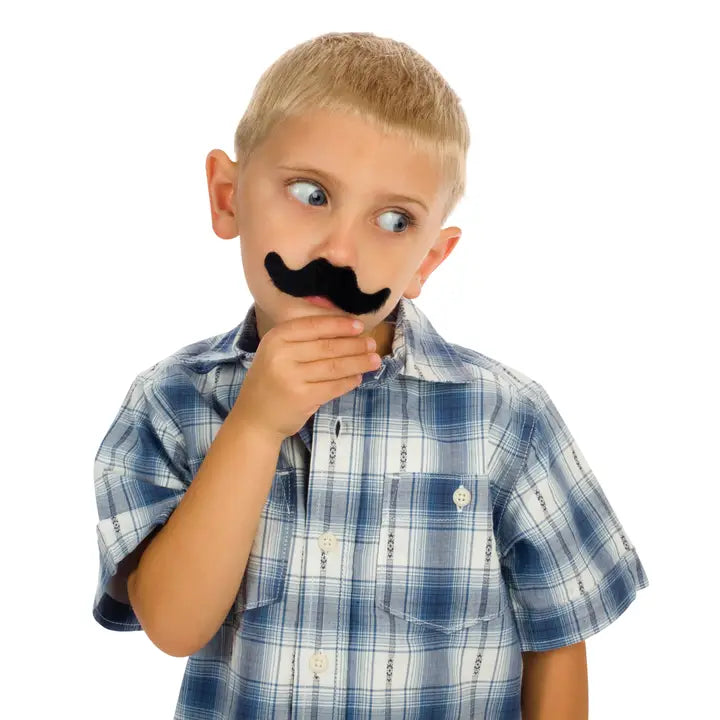 Fake Moustache Set