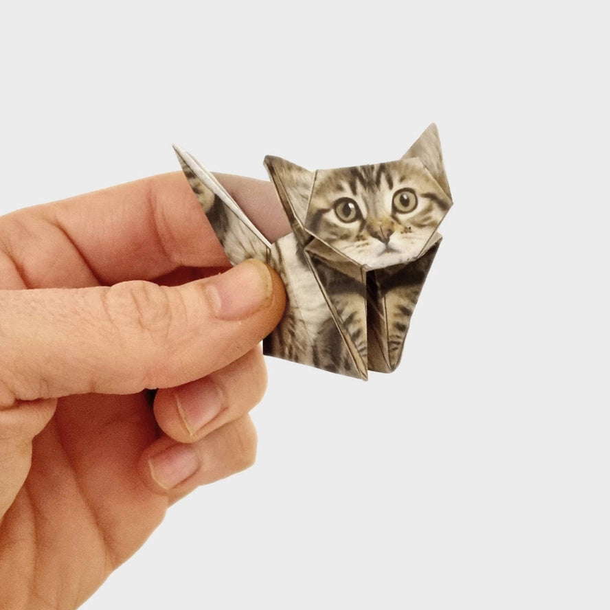 Fold Your Own Paper Cats