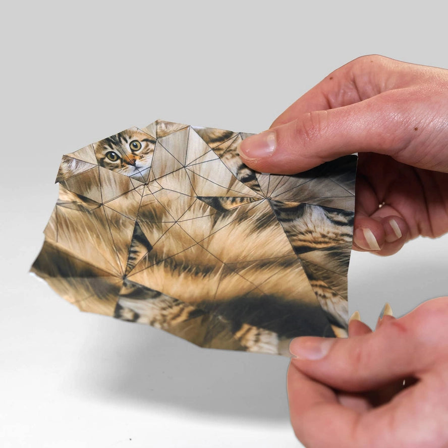 Fold Your Own Paper Cats