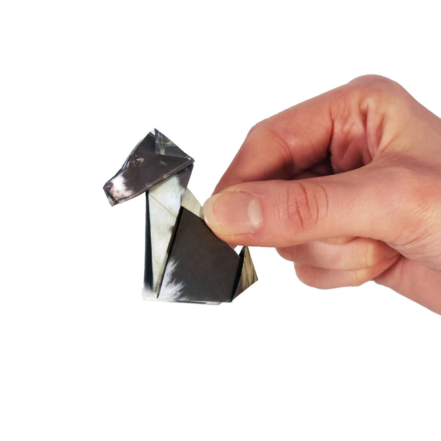 Fold Your Own Paper Pups