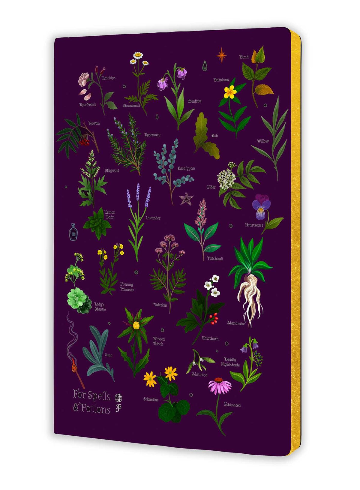 For Spells & Potions Foil Hard Cover Notebook Anna Stead