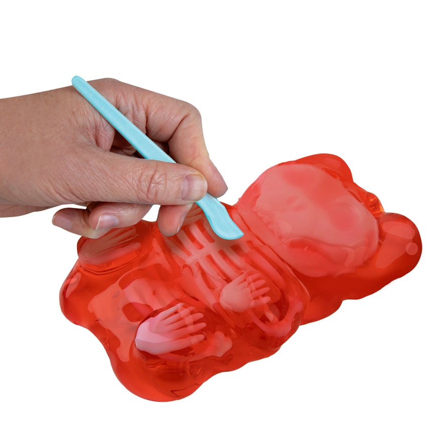 Goo-natomy Lab Jelly Bear Pack