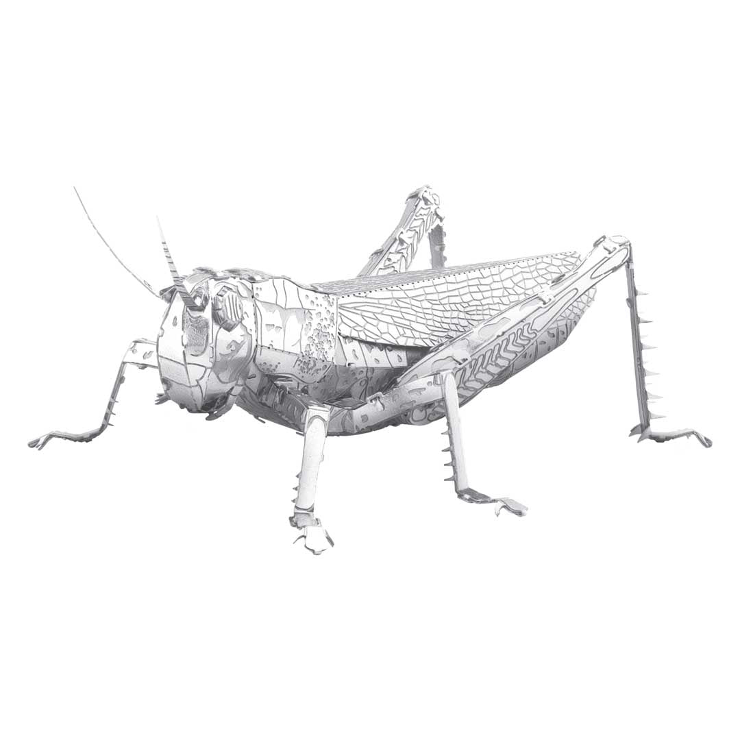 Grasshopper Metal Model
