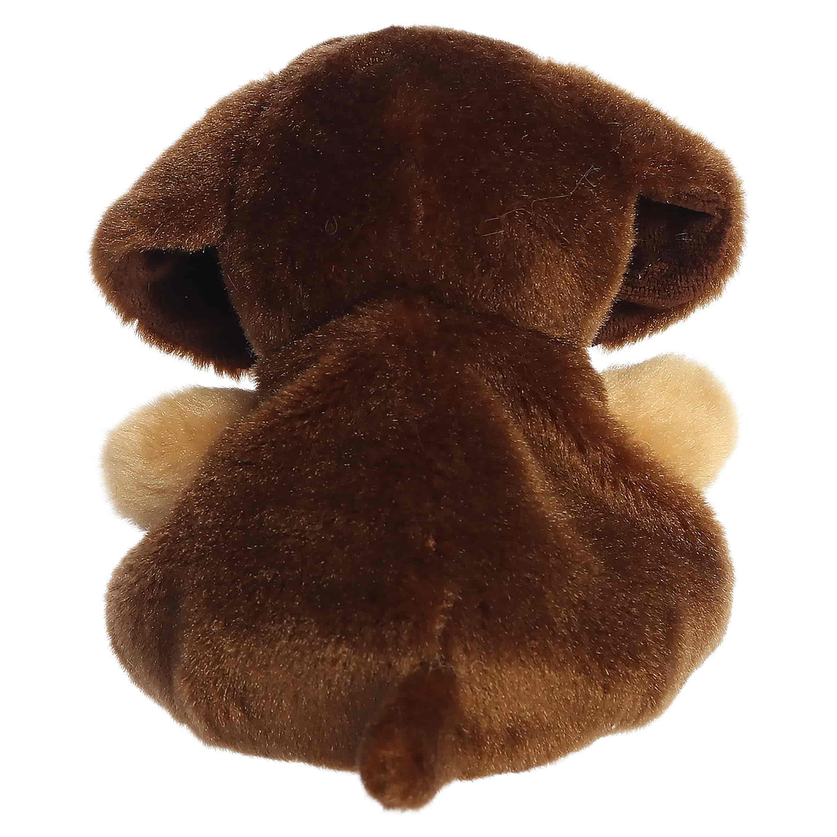 Houdini Dachshund Palm Pals Plush 5"