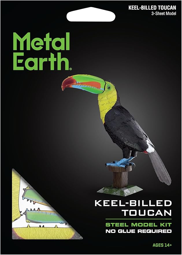 Keel-Billed Toucan Metal Model