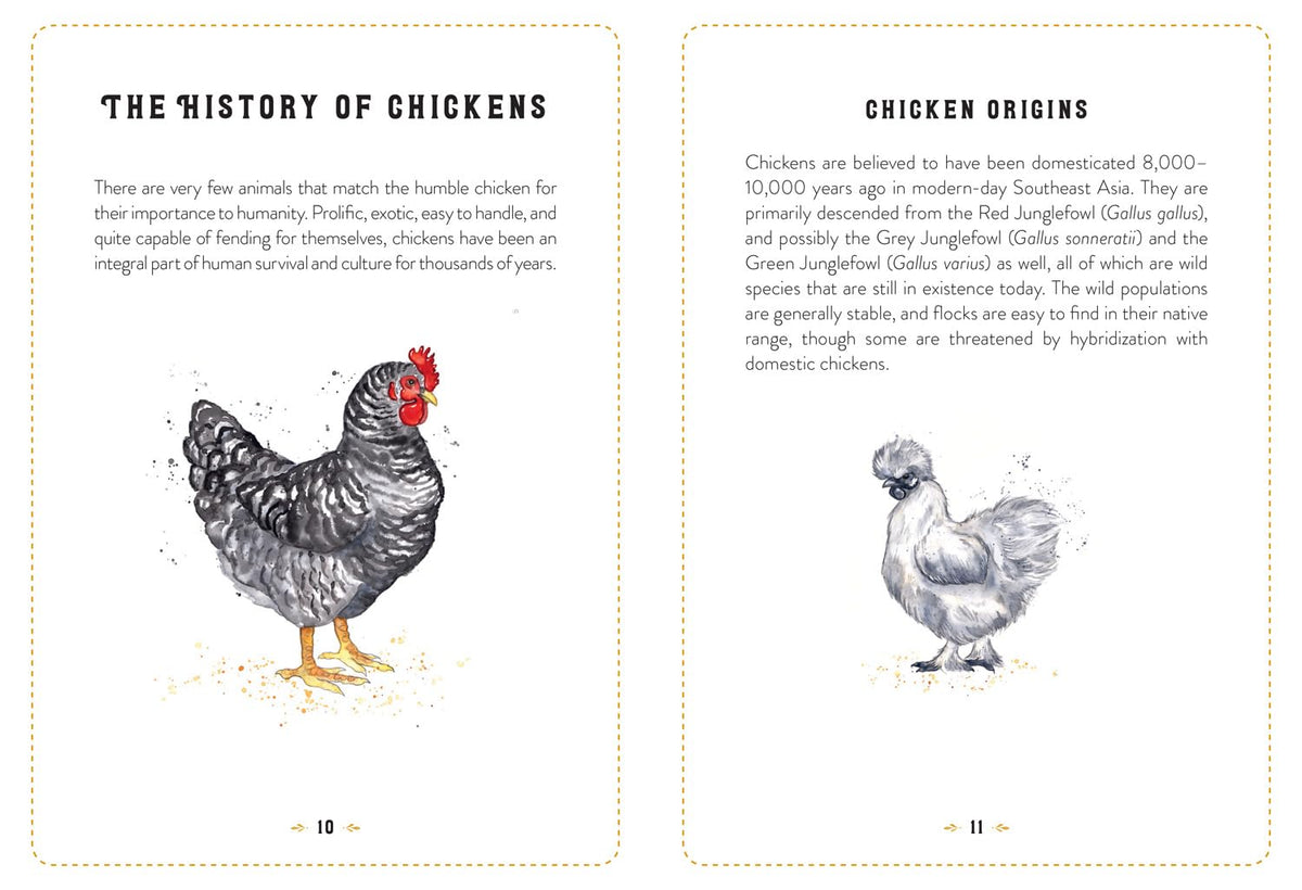Little Book Of Chickens