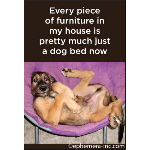 MAGNET Every Piece Of Furniture Is A Dog Bed