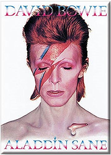 MAGNET David Bowie Aladdin Sane
