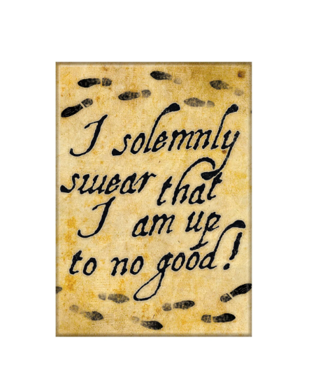 MAGNET Harry Potter I Solemnly Swear