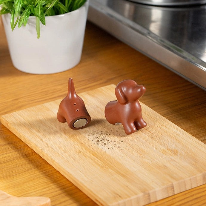 Magnetic Salt & Pupper Shaker