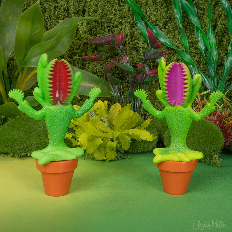 Meditating Venus Flytrap