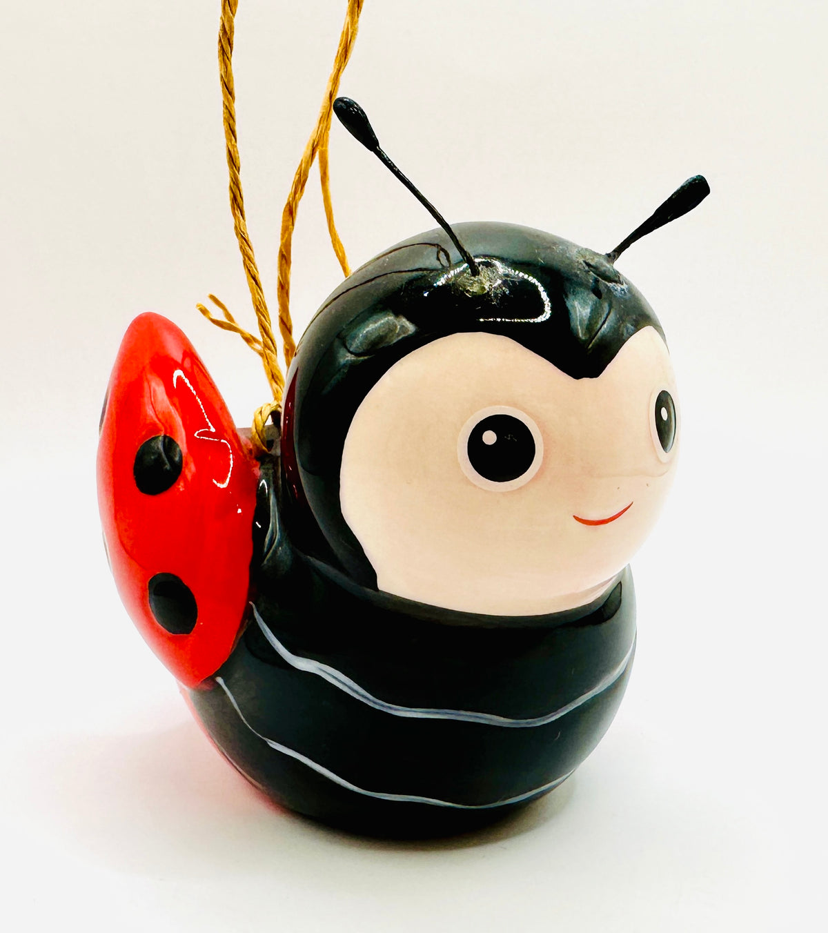 Mini Bee OR Ladybug Hanging Planter (Only Ladybug Available)