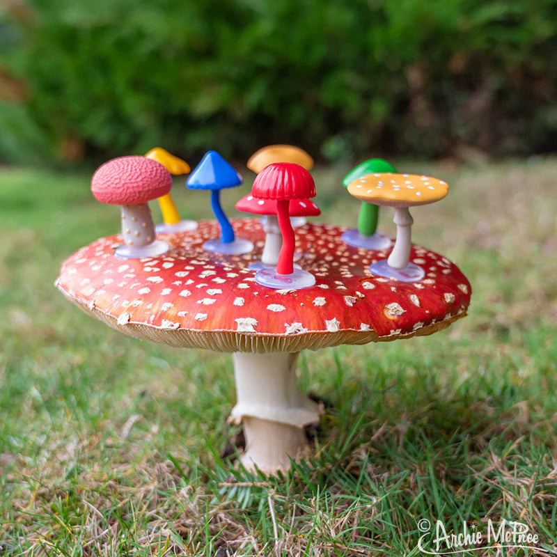 Mini Mushroom Collection