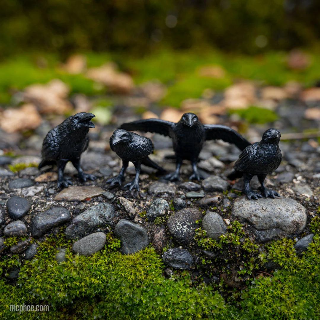 Murder Of Crows Figure Set