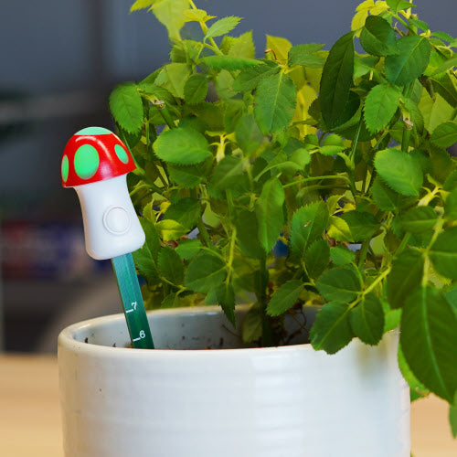 Mushroom Moisture Meter