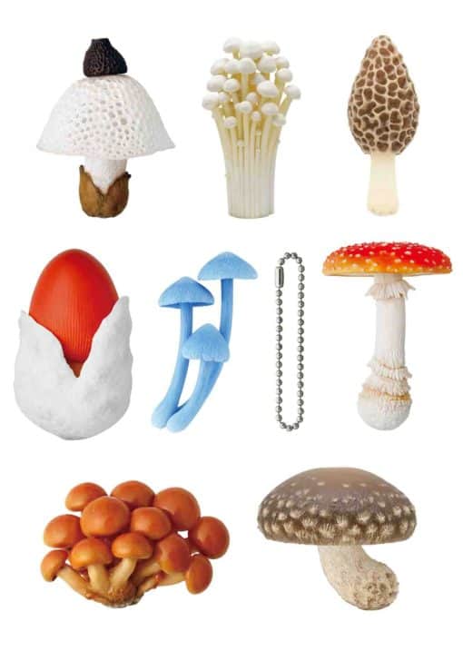 Mushroom Rubber Charm Blind Box (White Box)