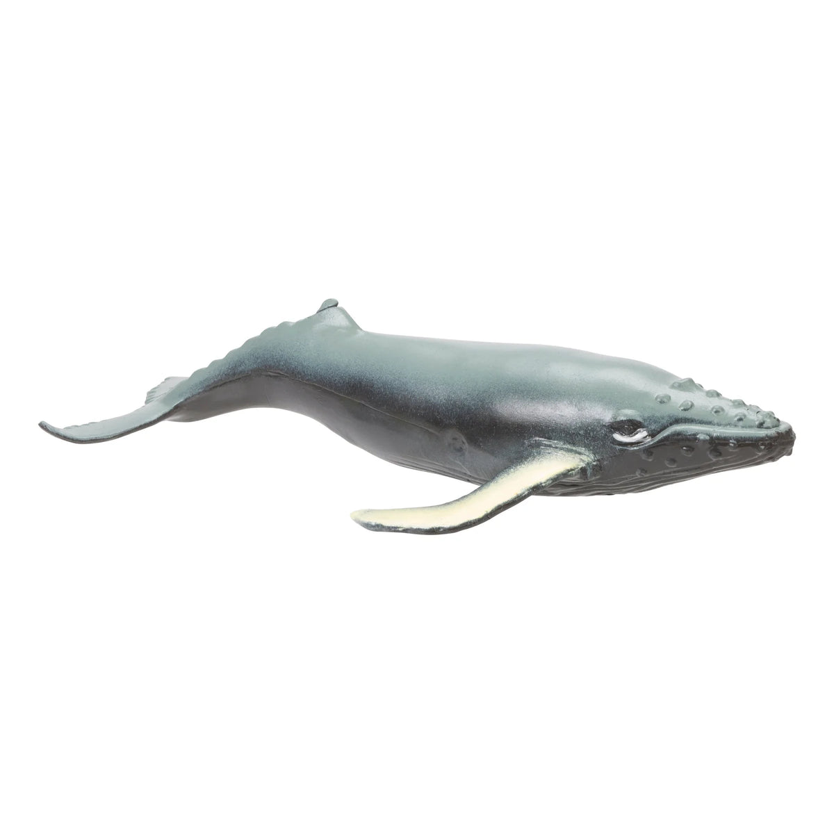 Ocean Squishimals