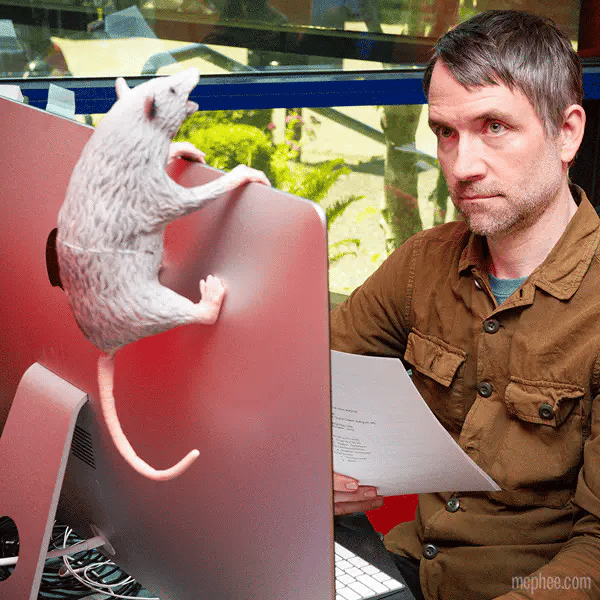 Office Possum