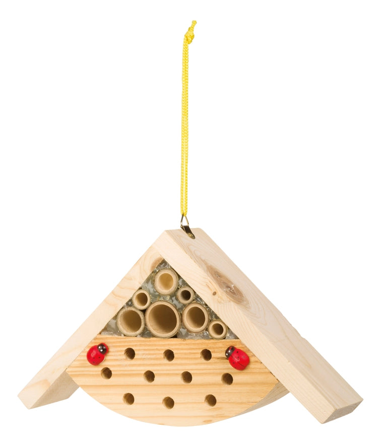Paint A Bug Abode