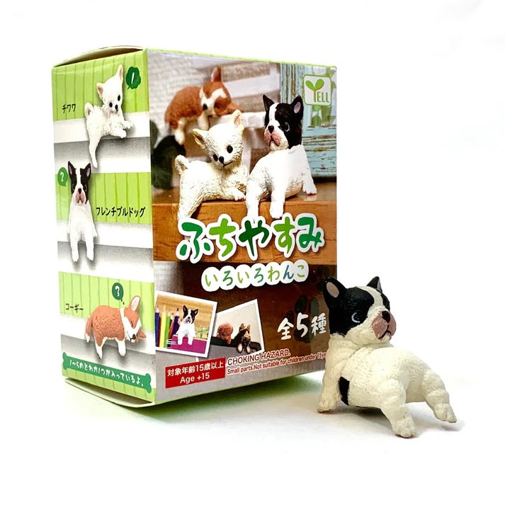 Playful Dog Blind Box