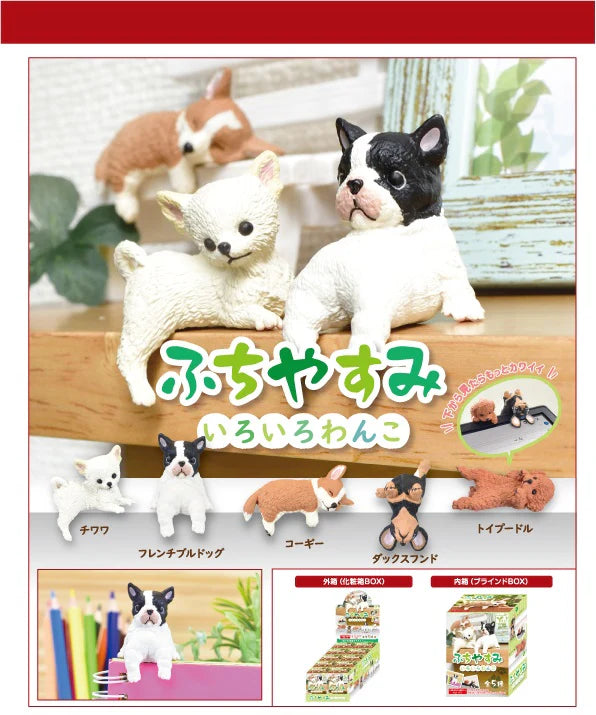 Playful Dog Blind Box