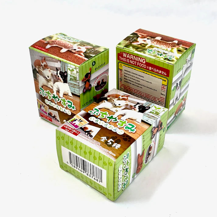 Playful Dog Blind Box
