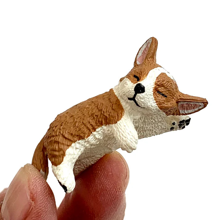 Playful Dog Blind Box